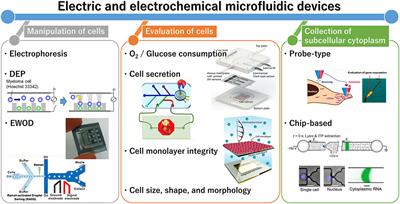 Electric and Electrochemical <mark class="highlighted">Microfluidic Devices</mark> for Cell Analysis